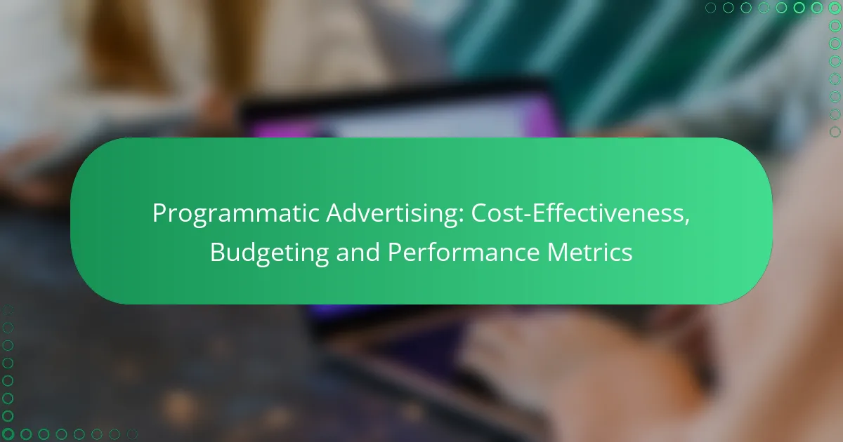 Ohjelmallinen mainonta: kustannustehokkuus, budjetointi ja suorituskykymittarit